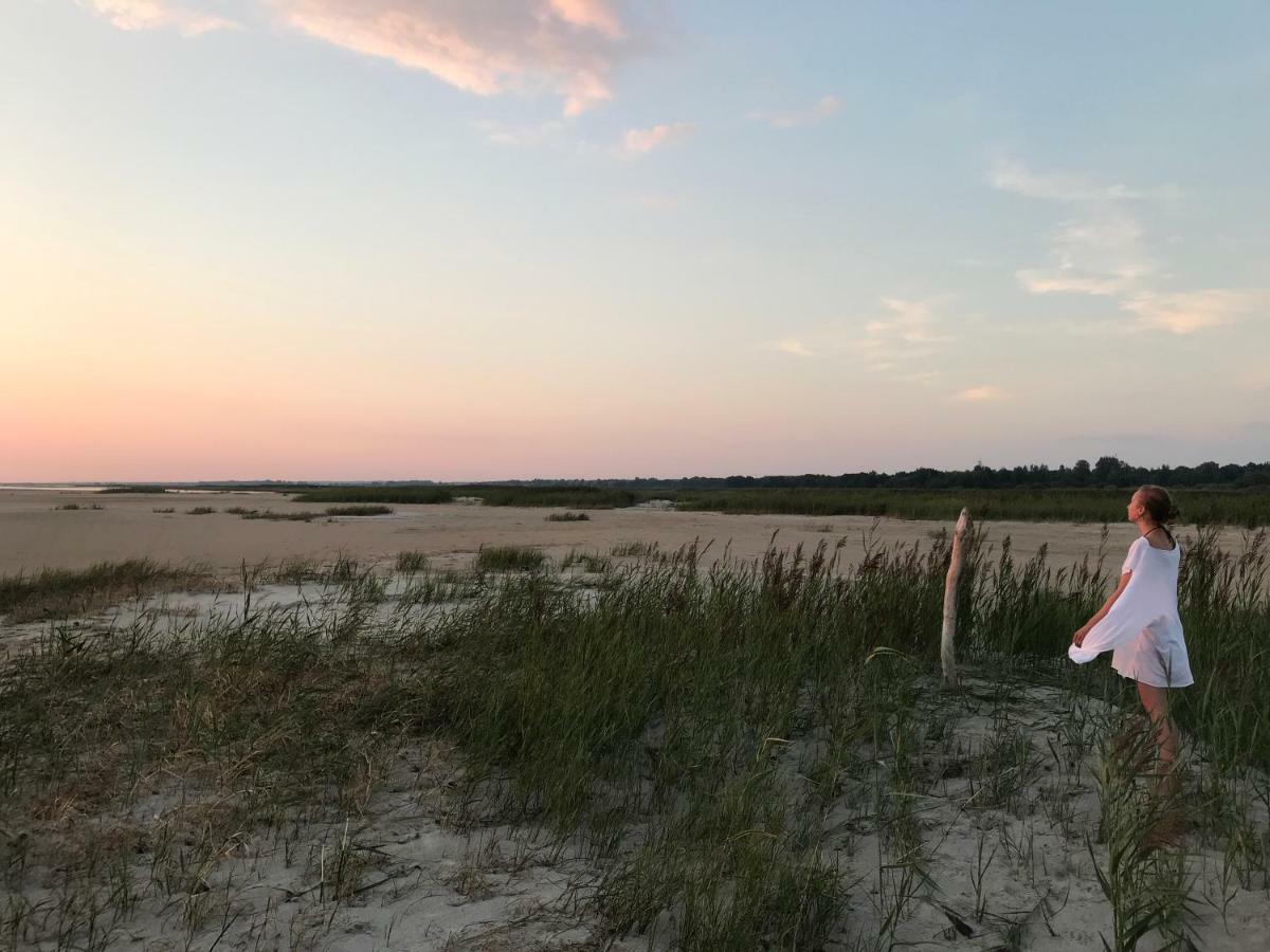 Suurkivi Nature Escape Häädemeeste Exteriör bild